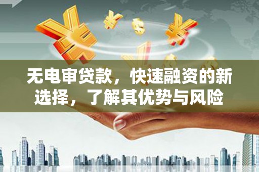 茶陵无电审贷款，快速融资的新选择，了解其优势与风险