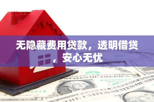 茶陵无隐藏费用贷款，透明借贷，安心无忧
