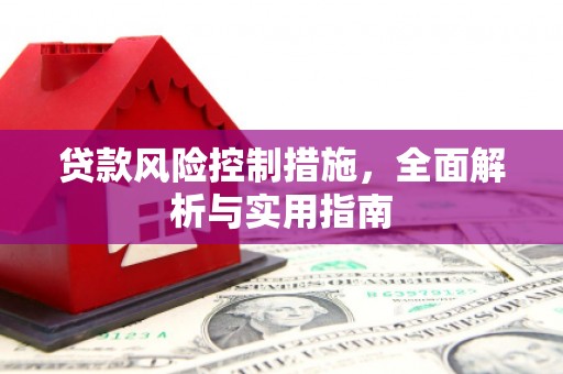 茶陵贷款风险控制措施，全面解析与实用指南