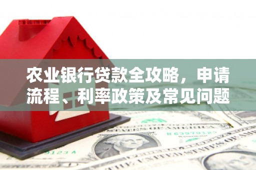 茶陵农业银行贷款全攻略，申请流程、利率政策及常见问题解析