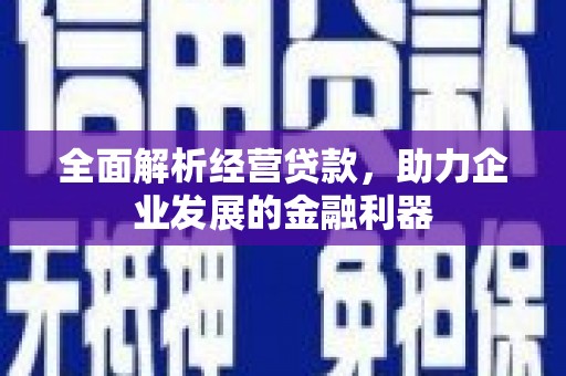 茶陵全面解析经营贷款，助力企业发展的金融利器
