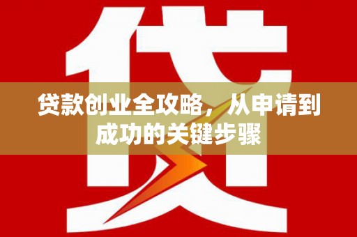 茶陵贷款创业全攻略，从申请到成功的关键步骤