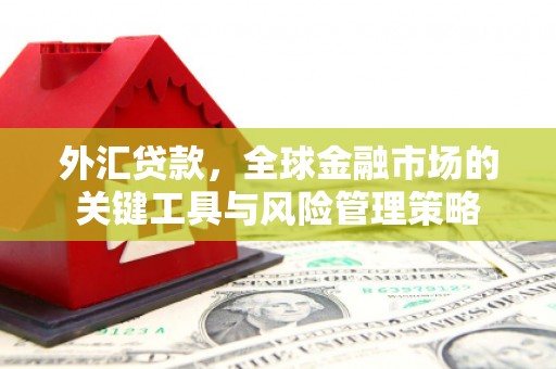 茶陵外汇贷款，全球金融市场的关键工具与风险管理策略