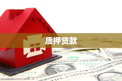 茶陵质押贷款