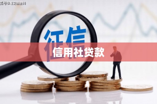 茶陵信用社贷款