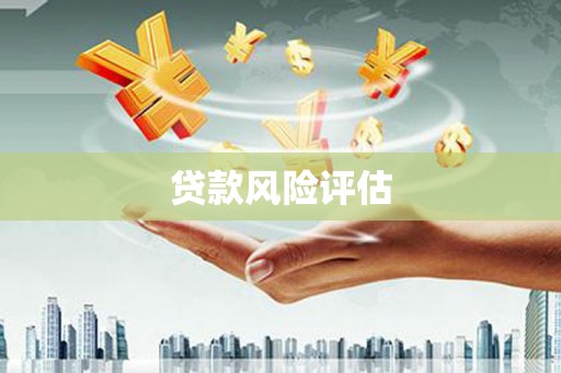 茶陵贷款风险评估
