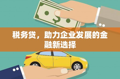 茶陵税务贷，助力企业发展的金融新选择
