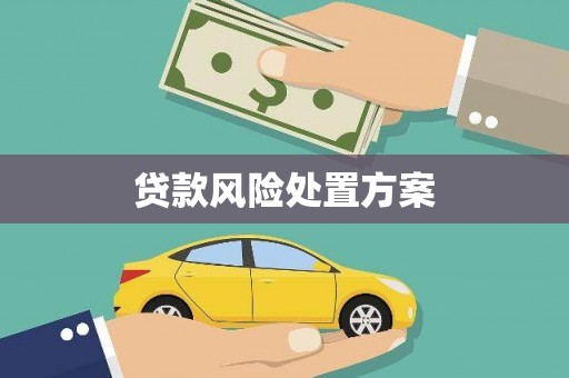 茶陵贷款风险处置方案