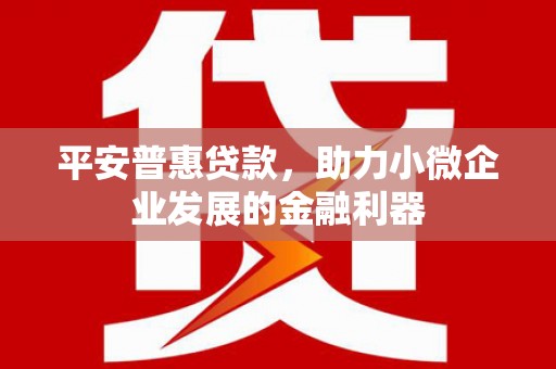 茶陵平安普惠贷款，助力小微企业发展的金融利器
