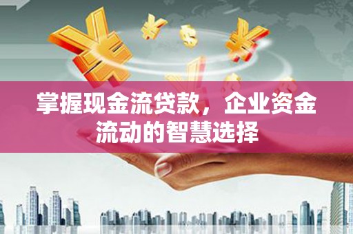 茶陵掌握现金流贷款，企业资金流动的智慧选择