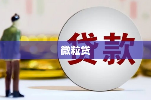 茶陵微粒贷