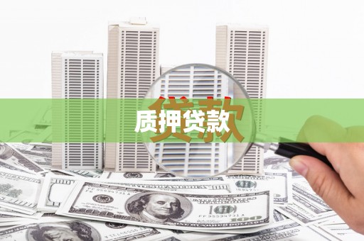 茶陵质押贷款