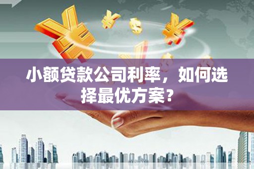 茶陵小额贷款公司利率，如何选择最优方案？