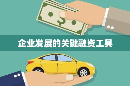 茶陵企业发展的关键融资工具