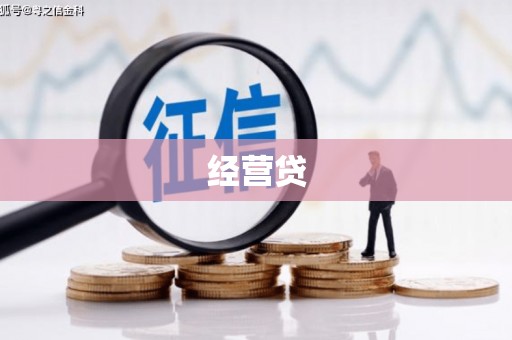 茶陵经营贷