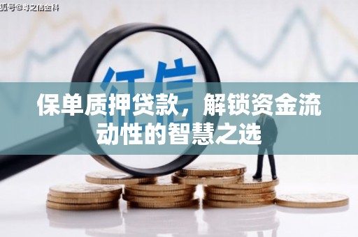 茶陵保单质押贷款，解锁资金流动性的智慧之选