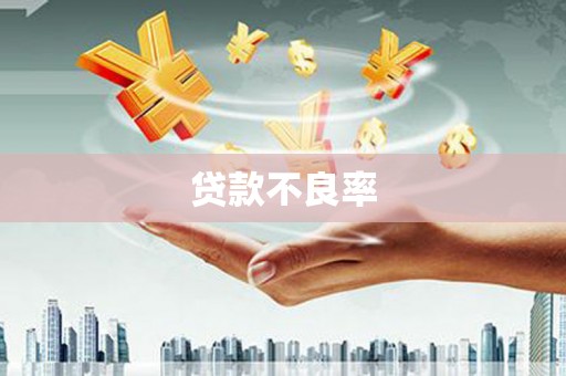 茶陵贷款不良率
