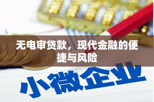 茶陵无电审贷款，现代金融的便捷与风险