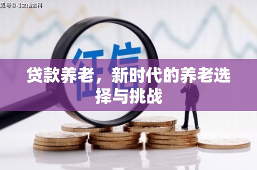 茶陵贷款养老，新时代的养老选择与挑战