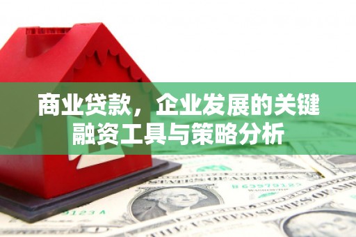 茶陵商业贷款，企业发展的关键融资工具与策略分析