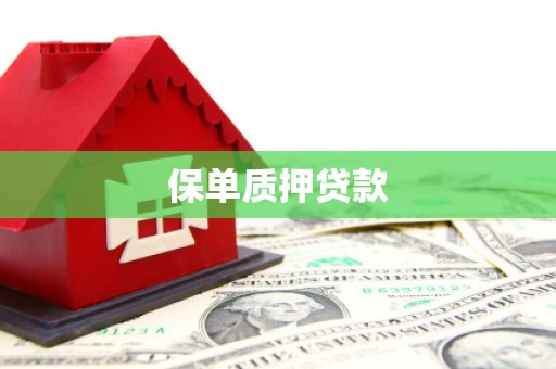 茶陵保单质押贷款