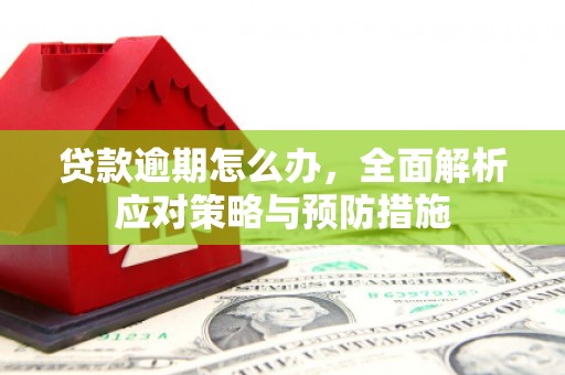 茶陵贷款逾期怎么办，全面解析应对策略与预防措施