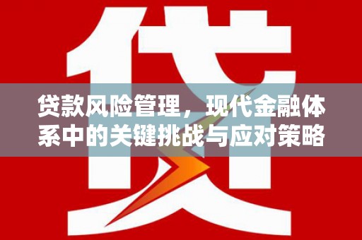 茶陵贷款风险管理，现代金融体系中的关键挑战与应对策略