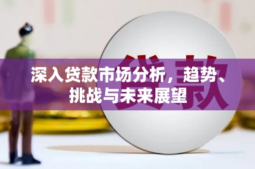 茶陵深入贷款市场分析，趋势、挑战与未来展望