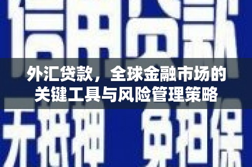 茶陵外汇贷款，全球金融市场的关键工具与风险管理策略