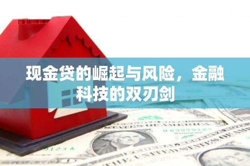 茶陵现金贷的崛起与风险，金融科技的双刃剑