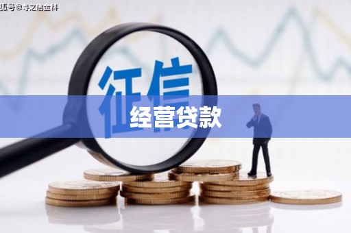 茶陵经营贷款