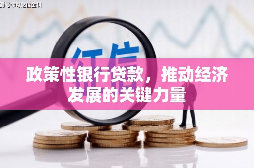 茶陵政策性银行贷款，推动经济发展的关键力量