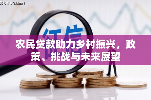茶陵农民贷款助力乡村振兴，政策、挑战与未来展望