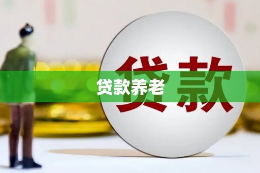 茶陵贷款养老