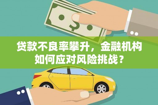 茶陵贷款不良率攀升，金融机构如何应对风险挑战？