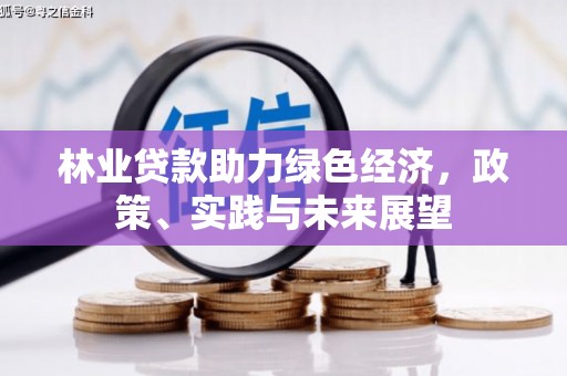 茶陵林业贷款助力绿色经济，政策、实践与未来展望