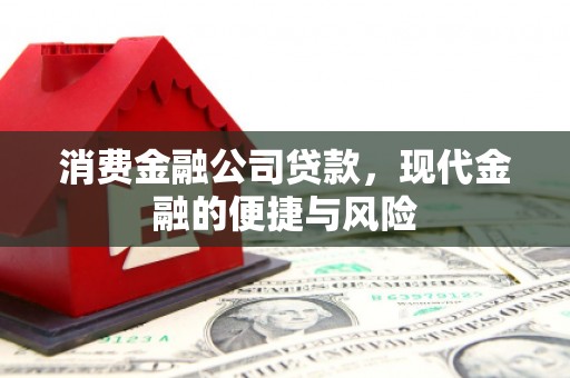 茶陵消费金融公司贷款，现代金融的便捷与风险