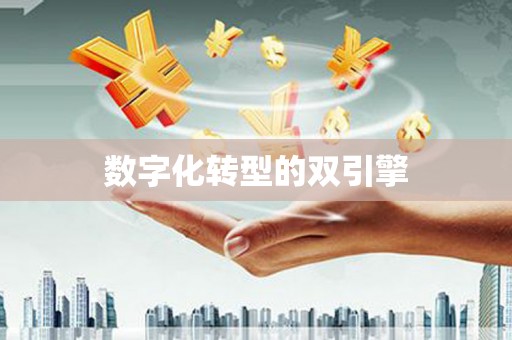 茶陵数字化转型的双引擎
