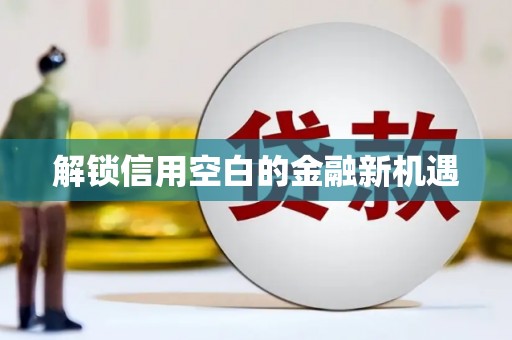 茶陵解锁信用空白的金融新机遇
