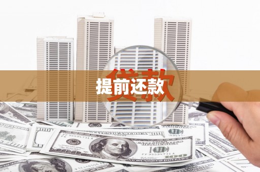 茶陵提前还款
